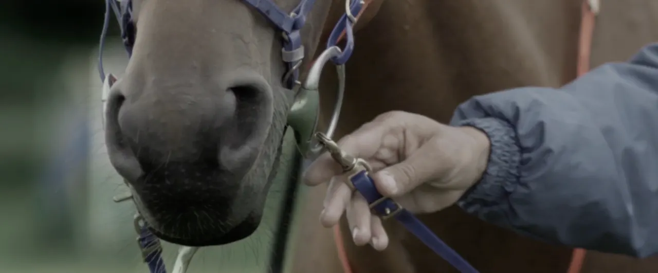 Longines FEI Endurance (Commercial, 2017) — still shot by Ronaldas Buožis