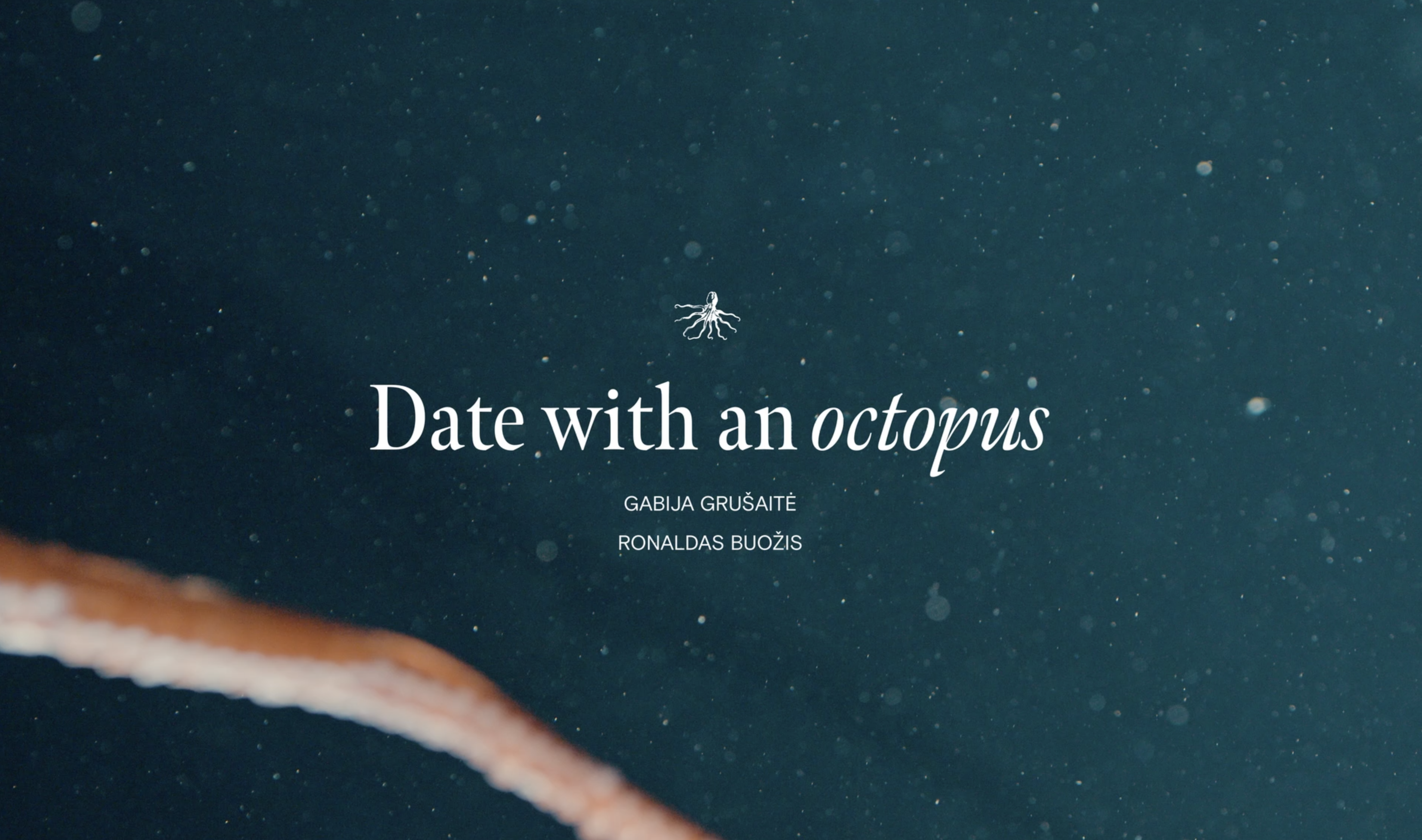 Date with an Octopus — still 5 shot by Ronaldas Buožis