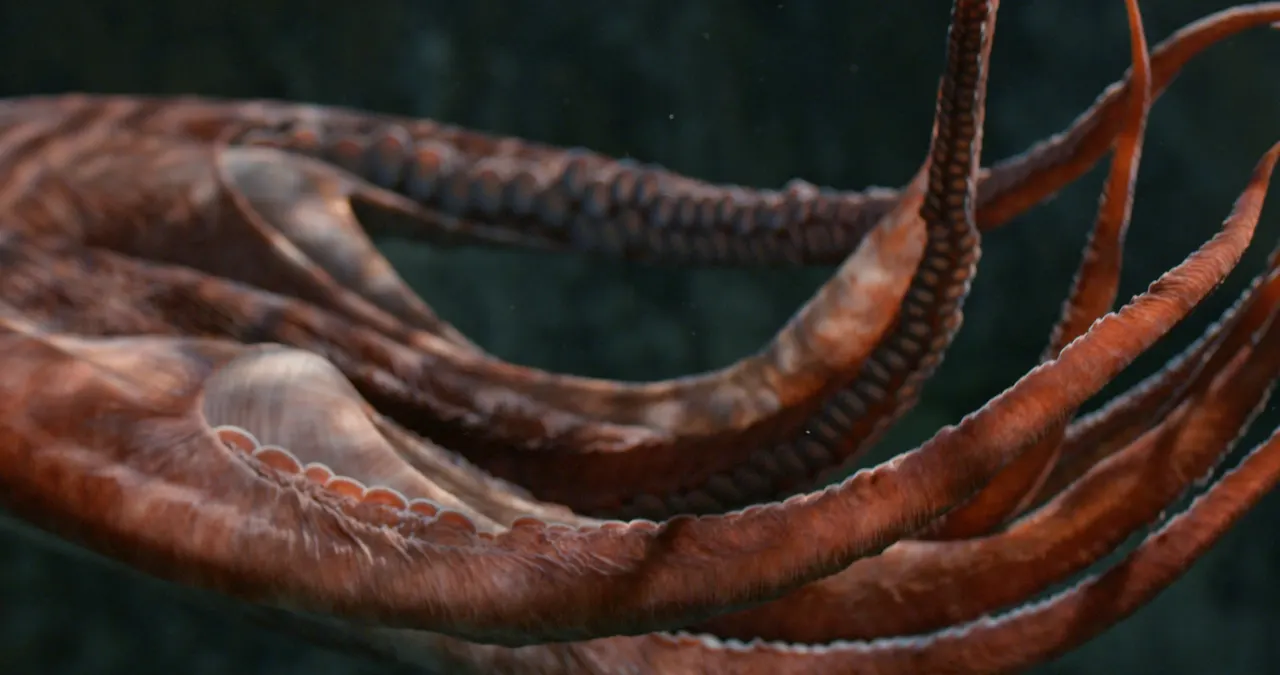 Date with an Octopus (Installation, 2024) — still shot by Ronaldas Buožis